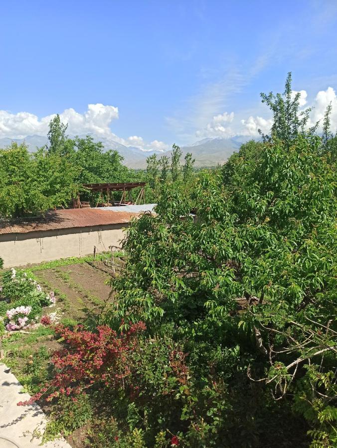 Toktogul Ghesthouse Otel Dış mekan fotoğraf